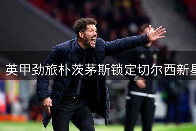 英甲劲旅朴茨茅斯锁定切尔西新星 麦奎因或成今夏首笔引援